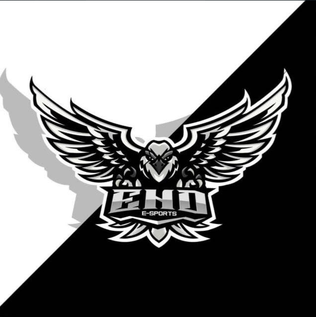 Logo da Organização